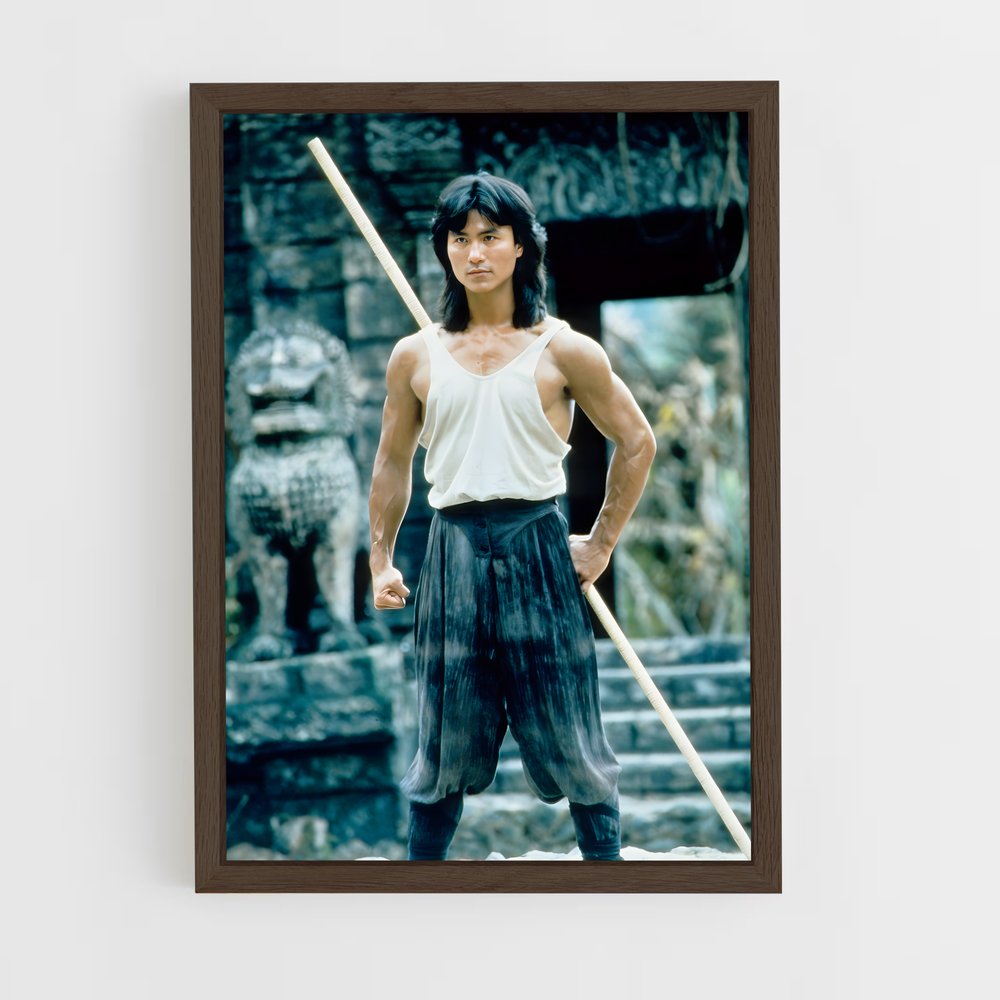 Poster Maître des Arts Martiaux – affiche Mortal kombat (vue 5)
